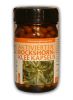 Kid`s Brush - verschiedene Motive